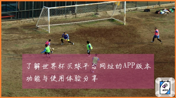 了解世界杯买球平台网址的APP版本功能与使用体验分享
