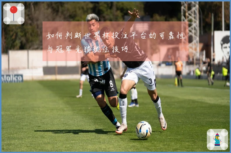 如何判断世界杯投注平台的可靠性与冠军竞猜玩法技巧
