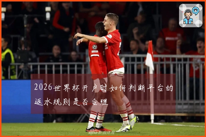 2026世界杯开户时如何判断平台的返水规则是否合理