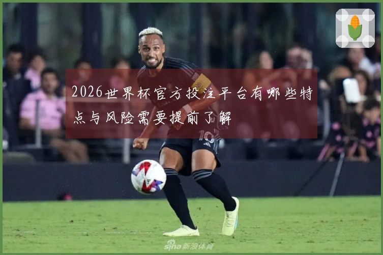 2026世界杯官方投注平台有哪些特点与风险需要提前了解