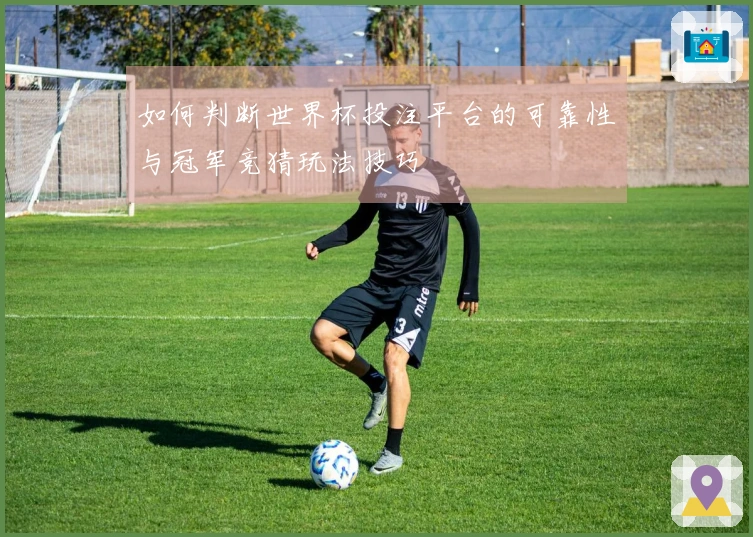 如何判断世界杯投注平台的可靠性与冠军竞猜玩法技巧