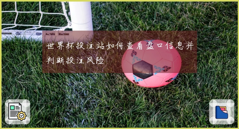 世界杯投注站如何查看盘口信息并判断投注风险