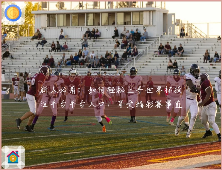 新人必看：如何轻松上手世界杯投注平台平台入口，享受精彩赛事直播体验