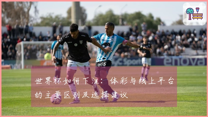 世界杯如何下注：体彩与线上平台的主要区别及选择建议