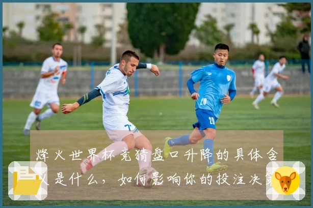 烽火世界杯竞猜盘口升降的具体含义是什么，如何影响你的投注决策？