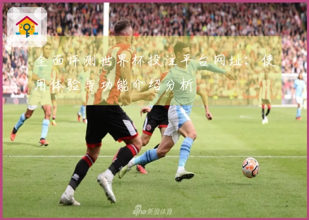 全面评测世界杯投注平台网址：使用体验与功能介绍分析
