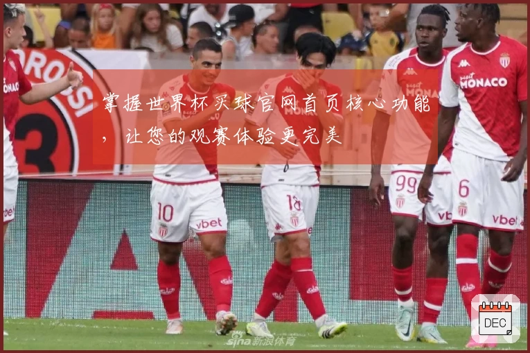 掌握世界杯买球官网首页核心功能，让您的观赛体验更完美