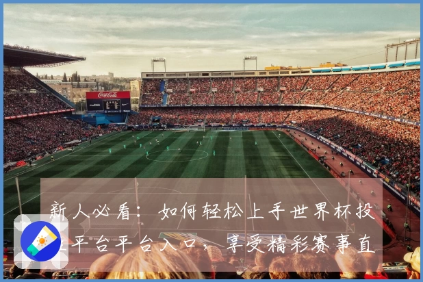 新人必看：如何轻松上手世界杯投注平台平台入口，享受精彩赛事直播体验