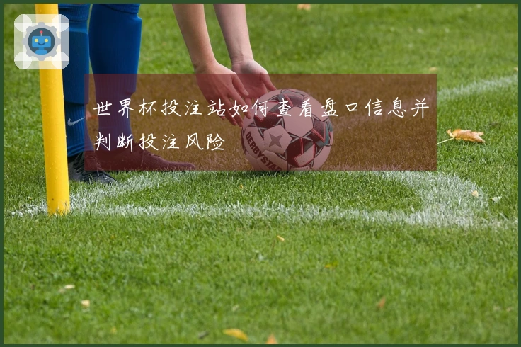 世界杯投注站如何查看盘口信息并判断投注风险