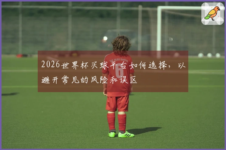 2026世界杯买球平台如何选择，以避开常见的风险和误区