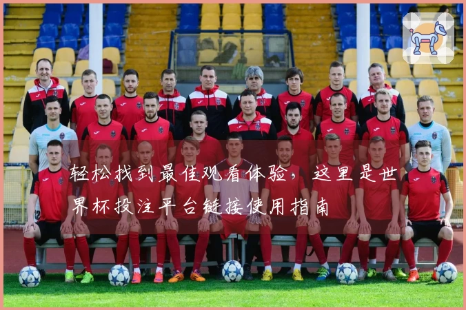 轻松找到最佳观看体验,这里是世界杯投注平台链接使用指南