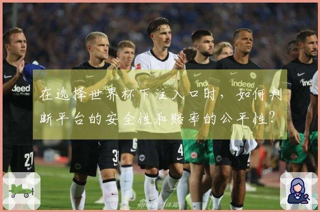 在选择世界杯下注入口时，如何判断平台的安全性和赔率的公平性？