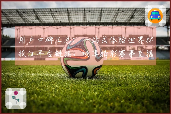 用户口碑汇总：一站式体验世界杯投注平台链接，畅享精彩赛事直播