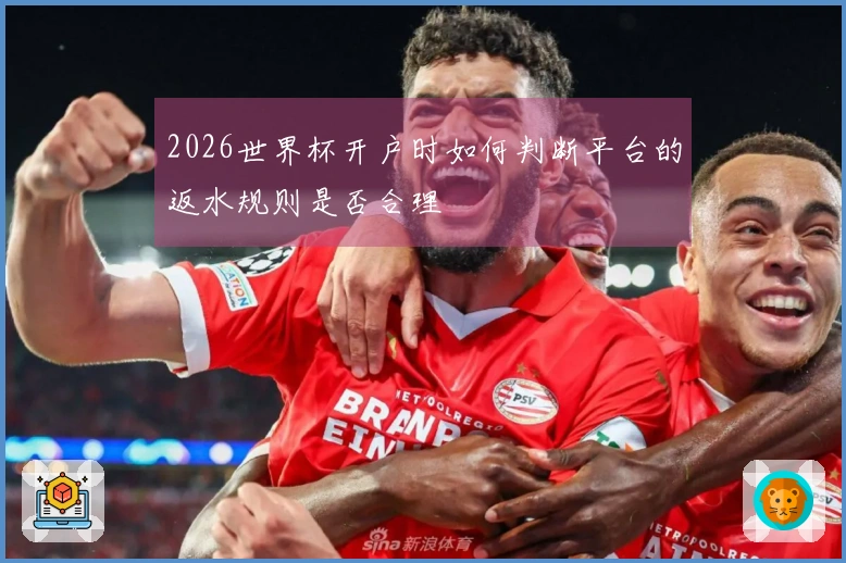 2026世界杯开户时如何判断平台的返水规则是否合理