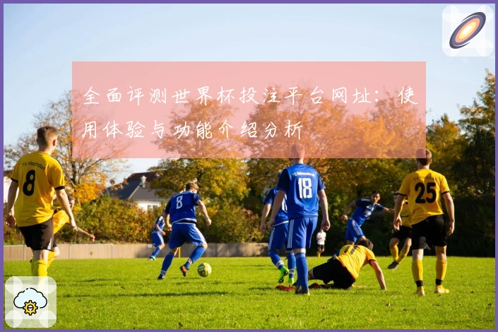 全面评测世界杯投注平台网址：使用体验与功能介绍分析