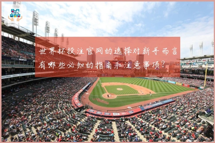 世界杯投注官网的选择对新手而言有哪些必知的指南和注意事项?