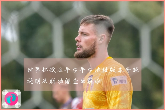 世界杯投注平台平台地址版本升级说明及新功能全面解读