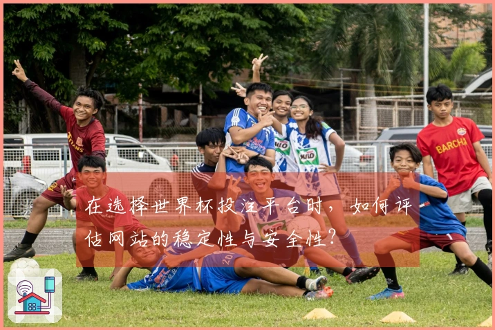 在选择世界杯投注平台时，如何评估网站的稳定性与安全性？