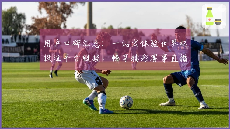 用户口碑汇总：一站式体验世界杯投注平台链接，畅享精彩赛事直播